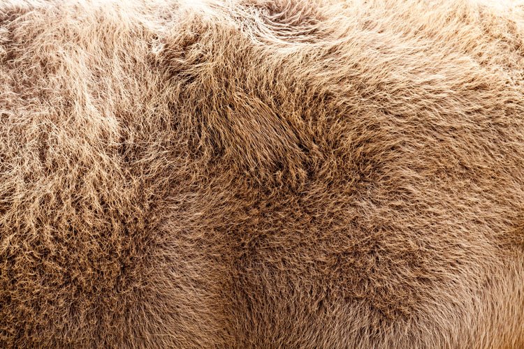 TURKISHLAMB SKIN RUGS