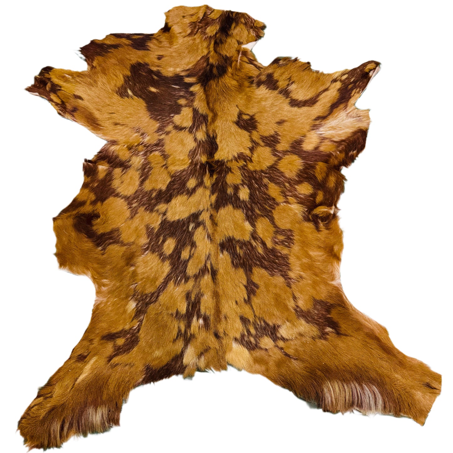Goatskin Rug GR199