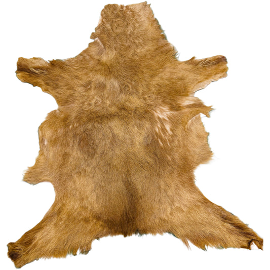 Goatskin Rug GR156