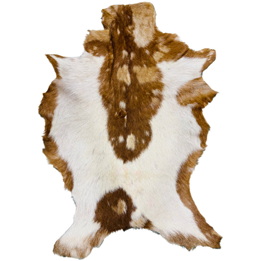 Goatskin Rug GR174
