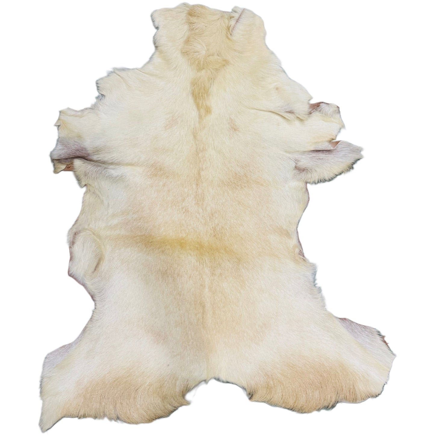 Goatskin Rug GR165