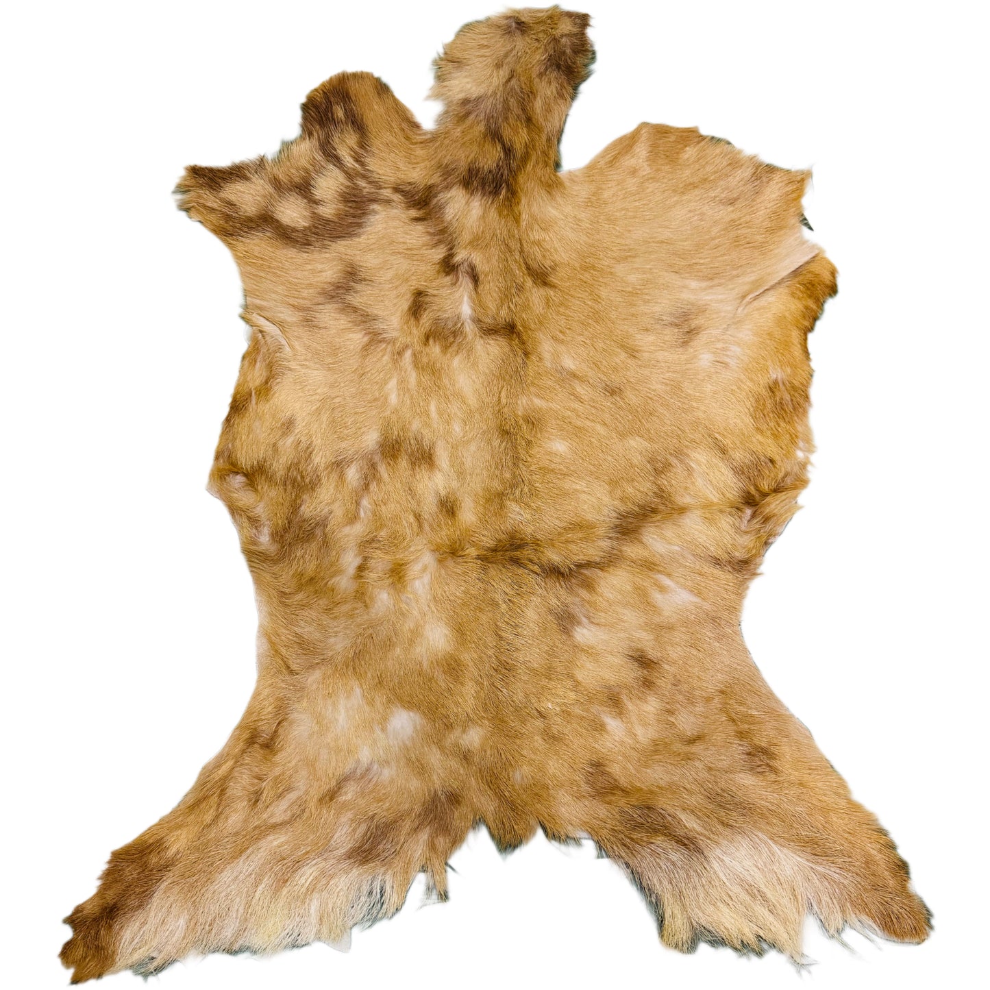 Goatskin Rug GR142