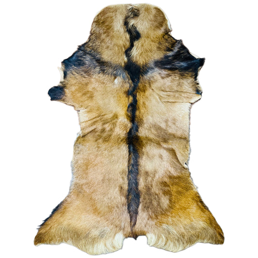 Goatskin Rug GR232