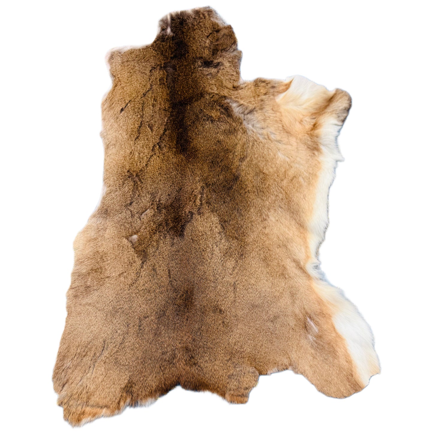 Deerskin Rug DR120