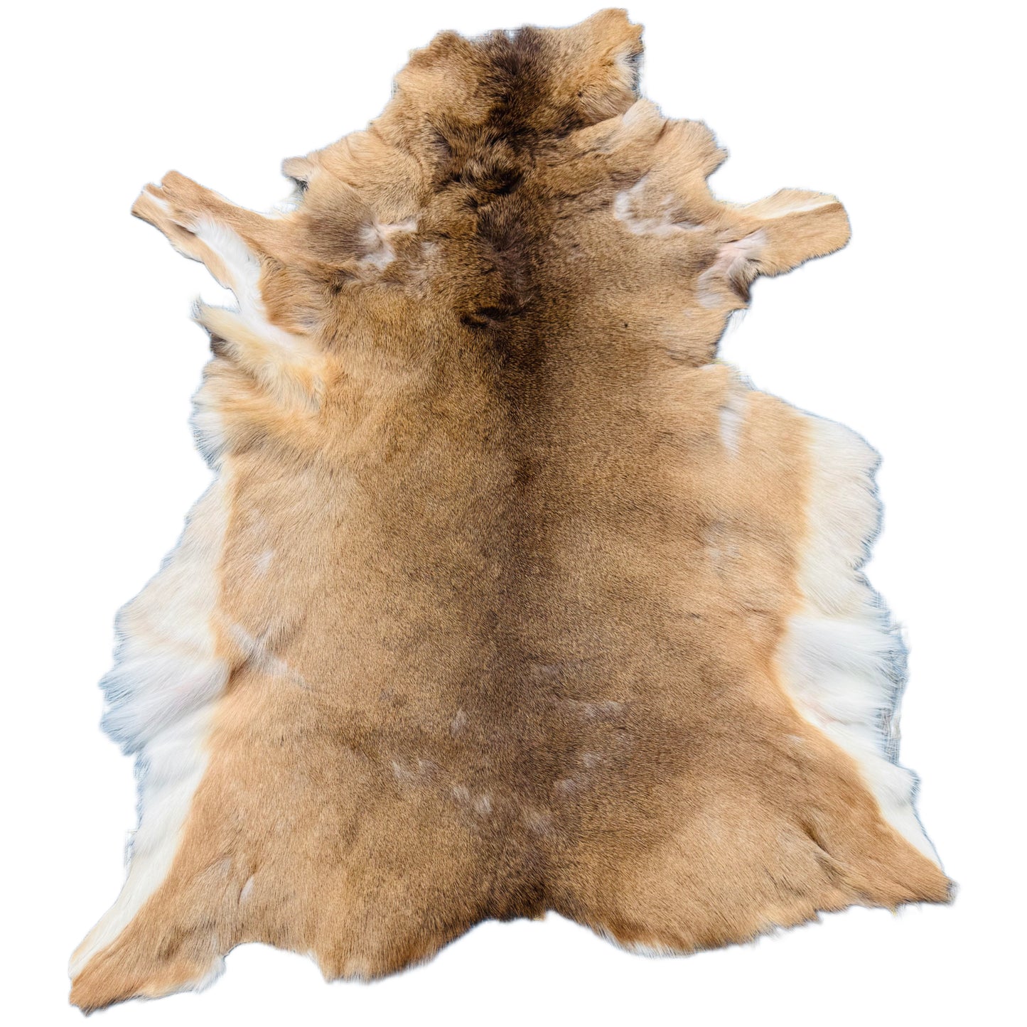 Deerskin Rug DR115