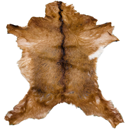 Goatskin Rug GR182