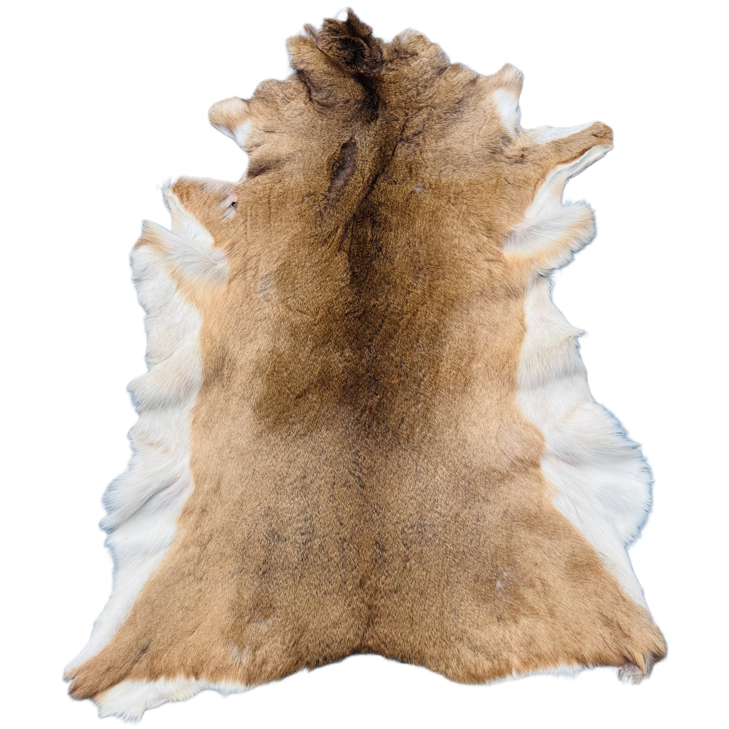 Deerskin Rug DR111