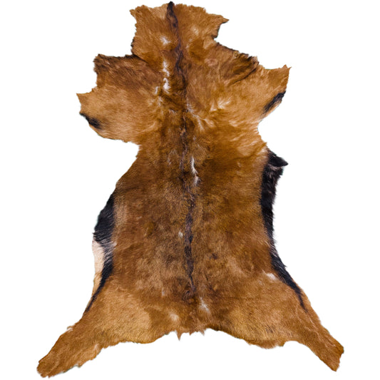 Goatskin Rug GR125
