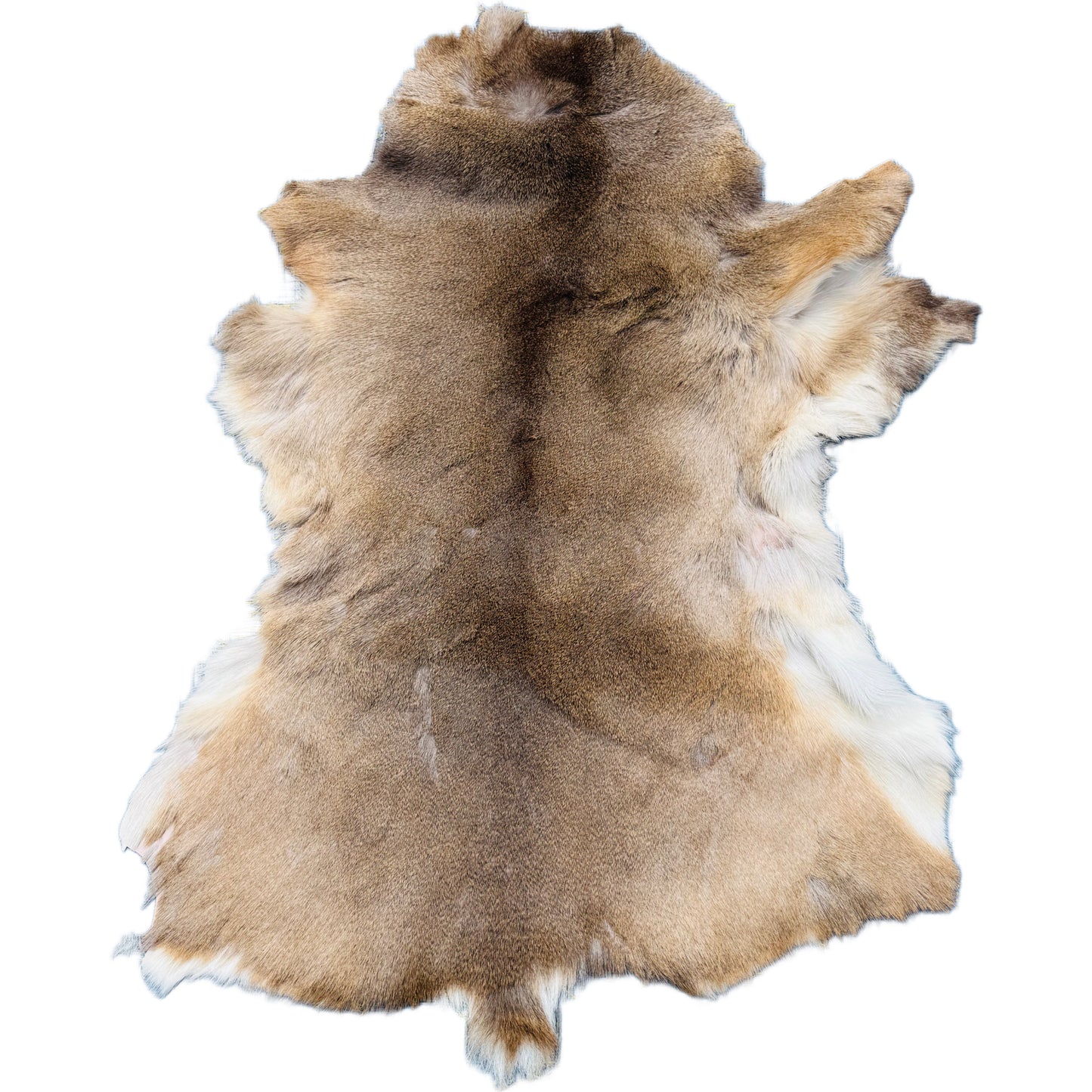 Deerskin Rug DR101