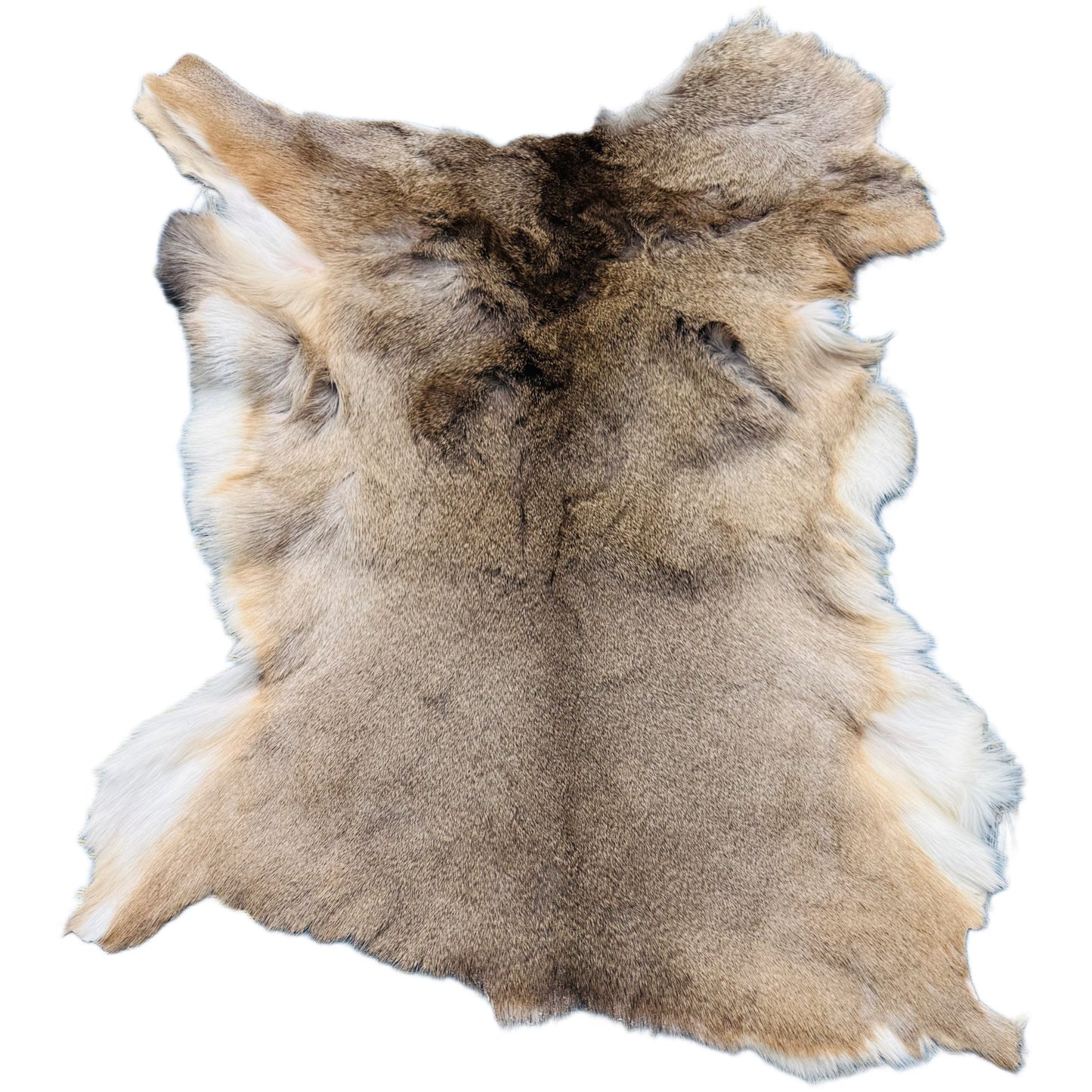 Deerskin Rug DR117