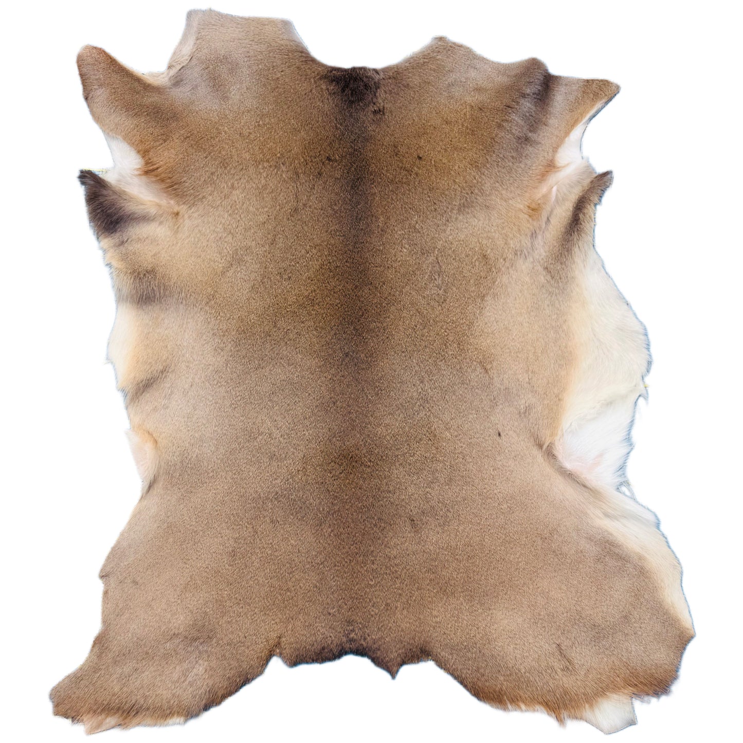 Deerskin Rug DR113
