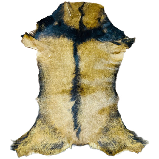 Goatskin Rug GR223