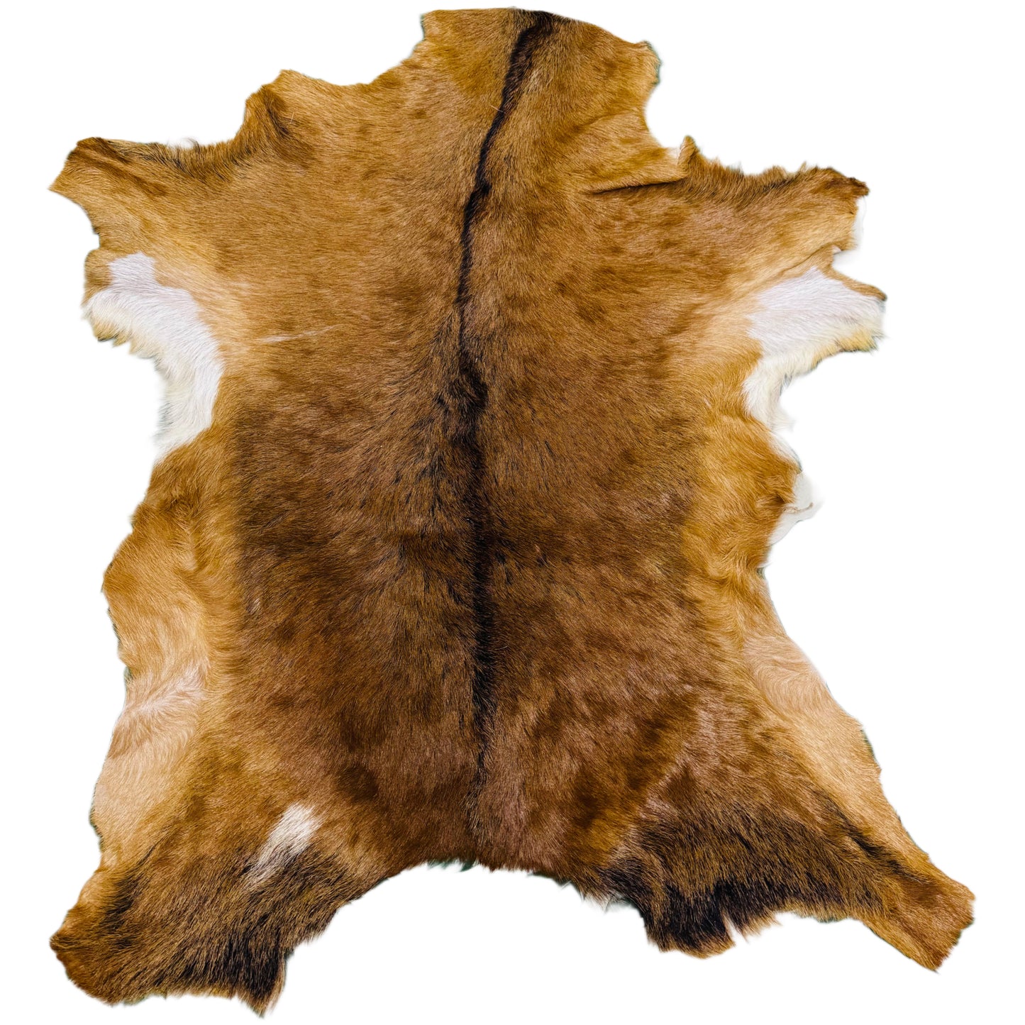Goatskin Rug GR181