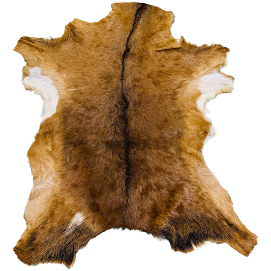 Goatskin Rug GR181