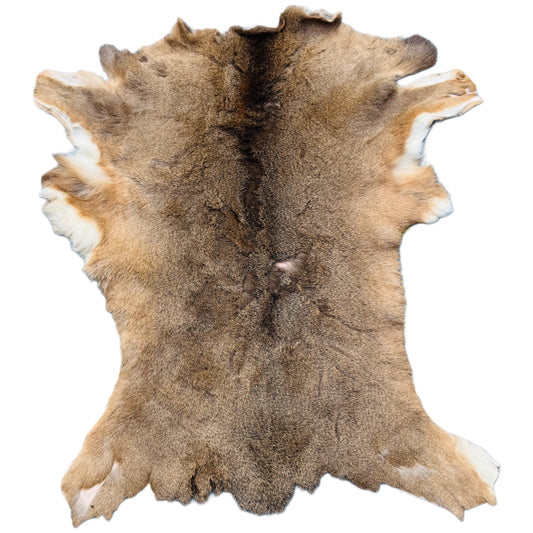 Deerskin Rug DR107