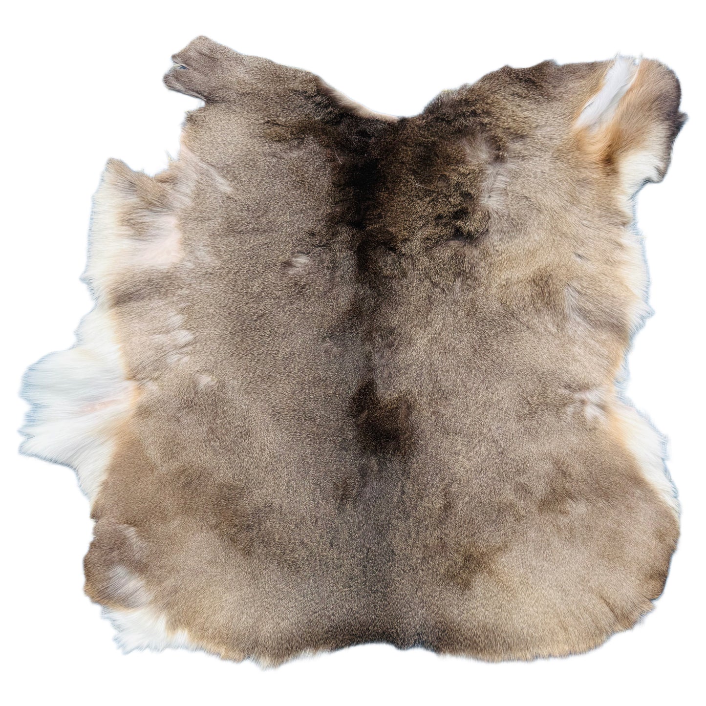 Deerskin Rug DR110