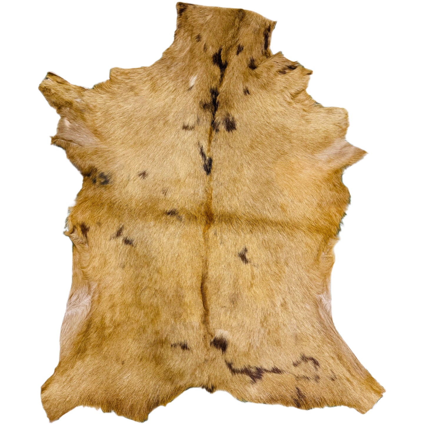 Goatskin Rug GR166