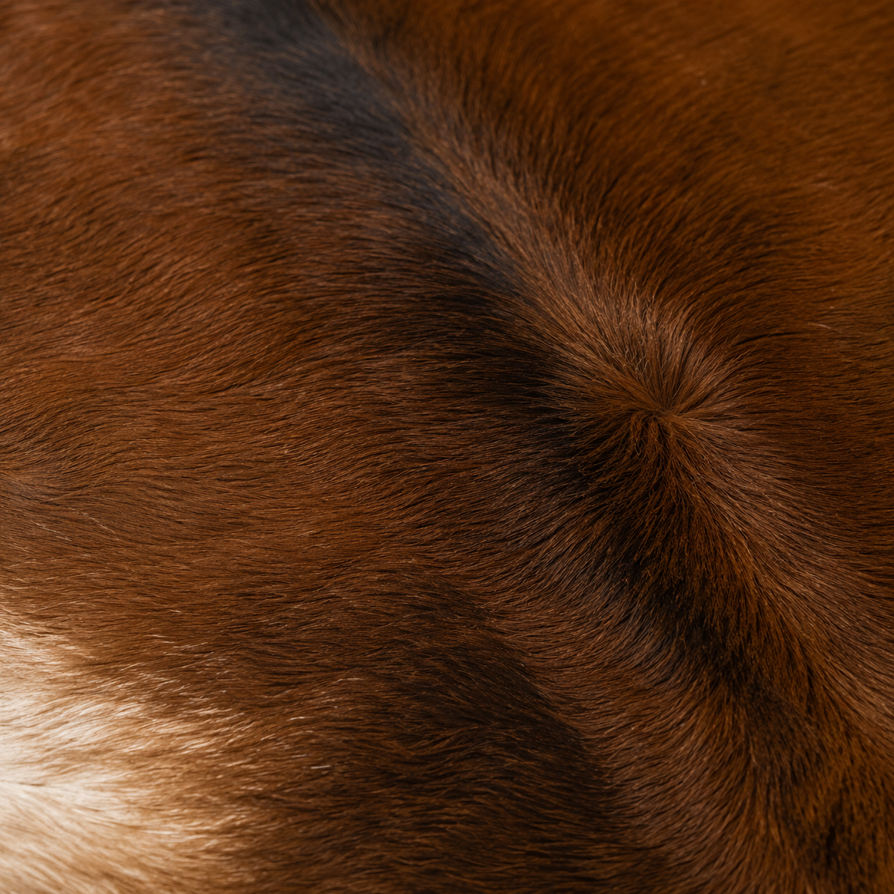 Cowhide Rug CR-103 48x46 INCH