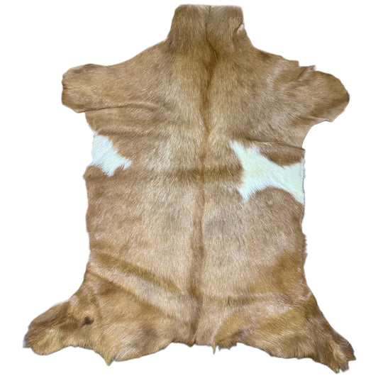 Goatskin Rug GR228