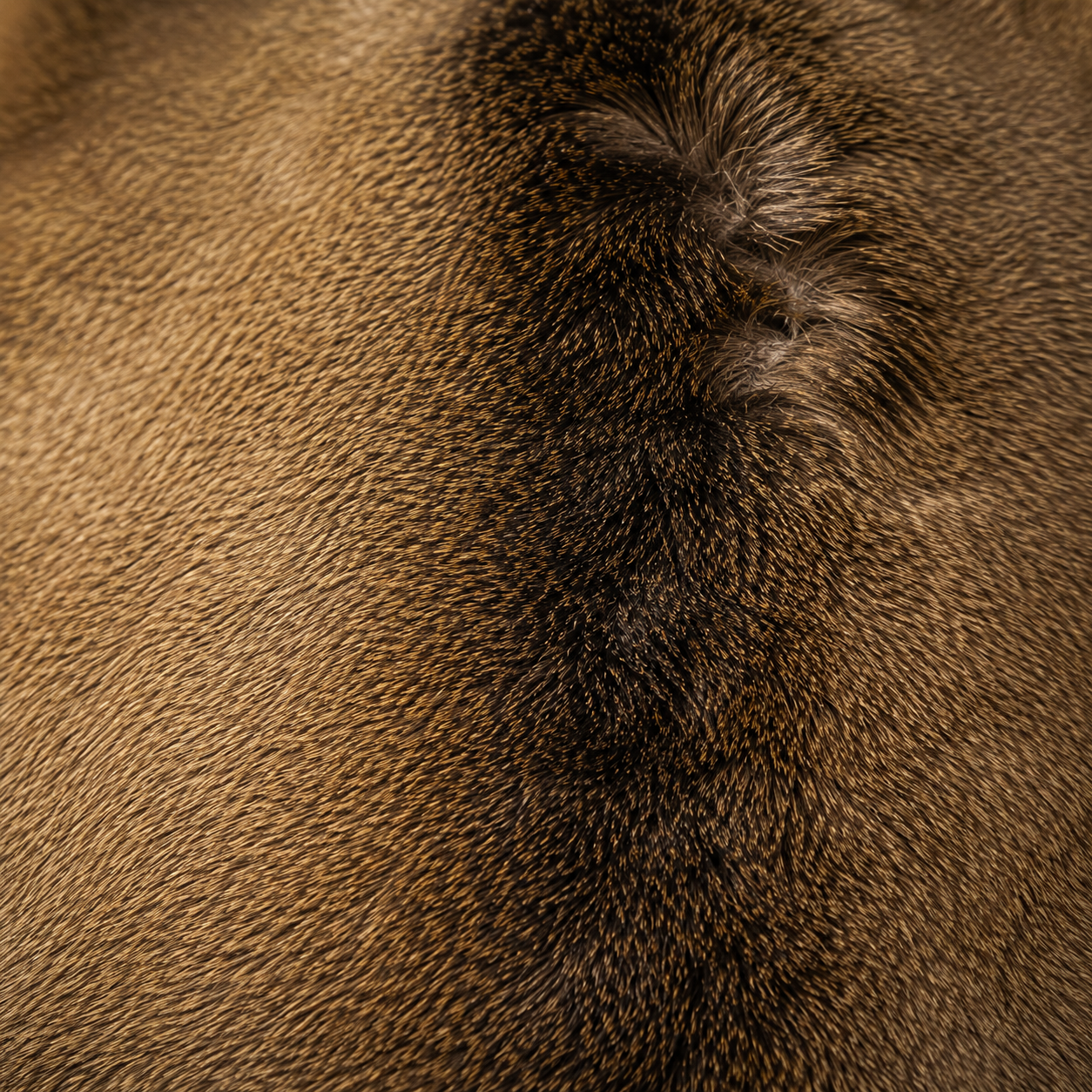 Deerhide Rug DR-108 41x34 INCH