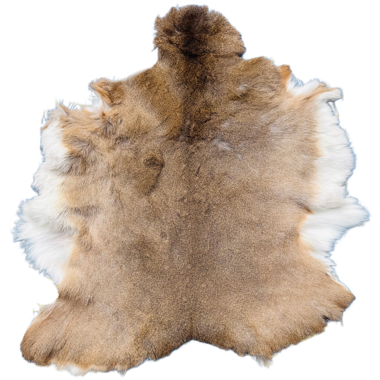 Deerskin Rug DR105