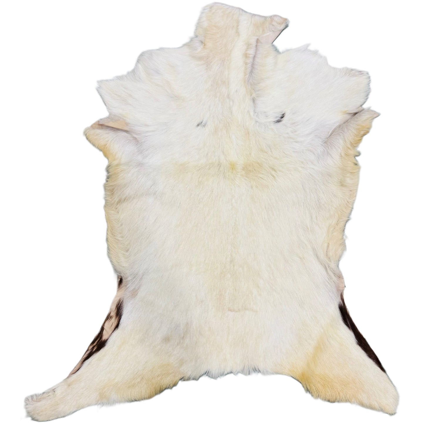 Goatskin Rug GR119