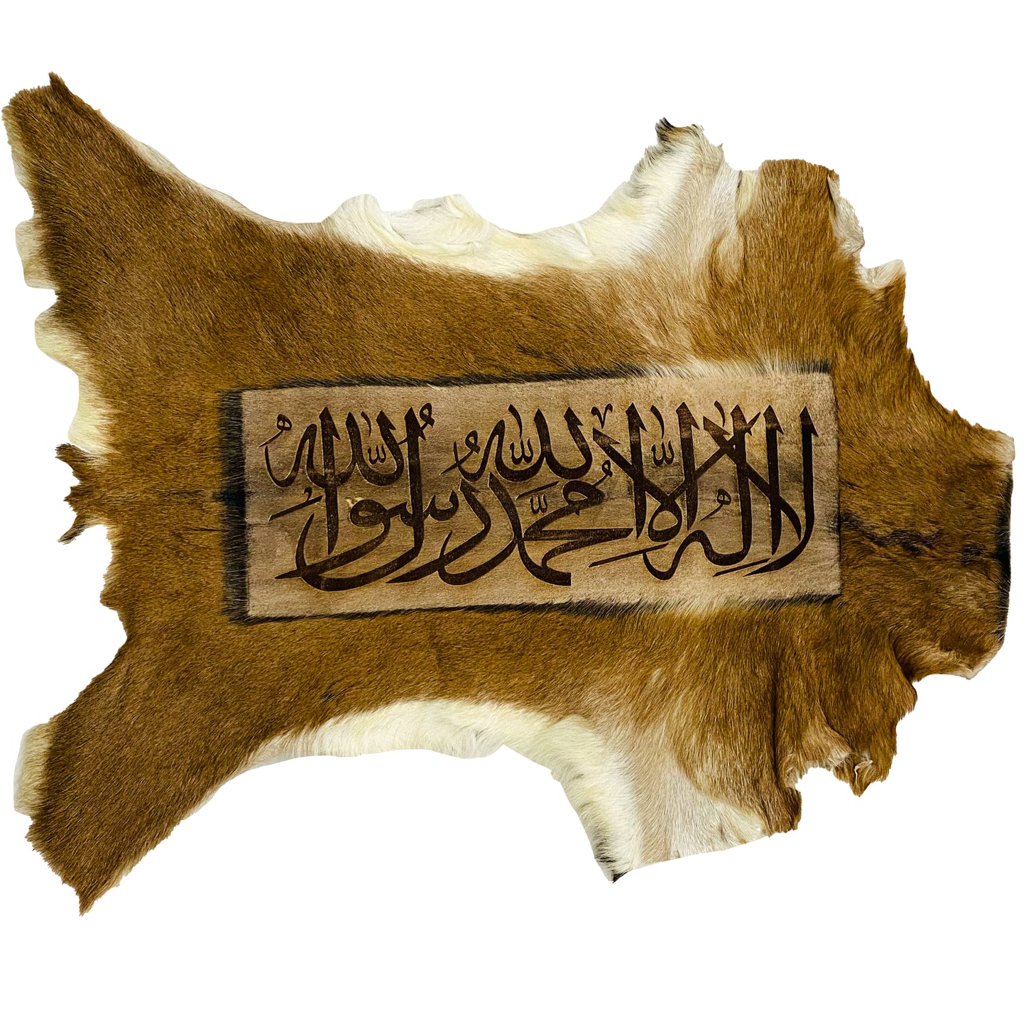 Kalma Tayyaba Ayat Goatskin Calligraphy GC-245 26x22 INCH