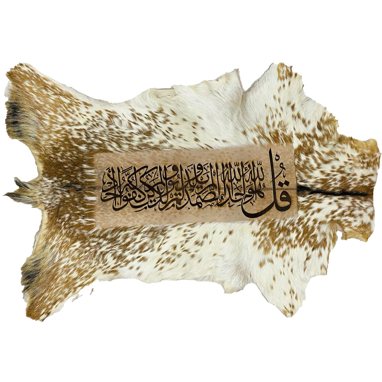 Surah Ikhlas Ayat Goatskin Calligraphy GC-255 26x21 INCH