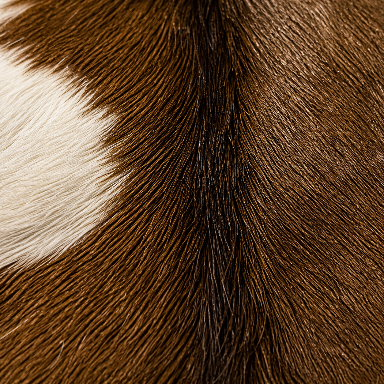 Goatskin Rug GR-111 42x30 INCH
