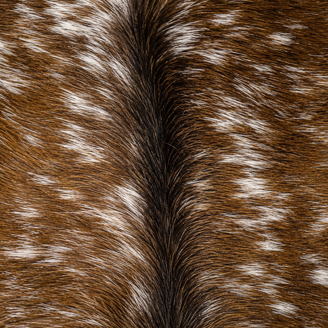 Goatskin Rug GR-114 43x29 INCH