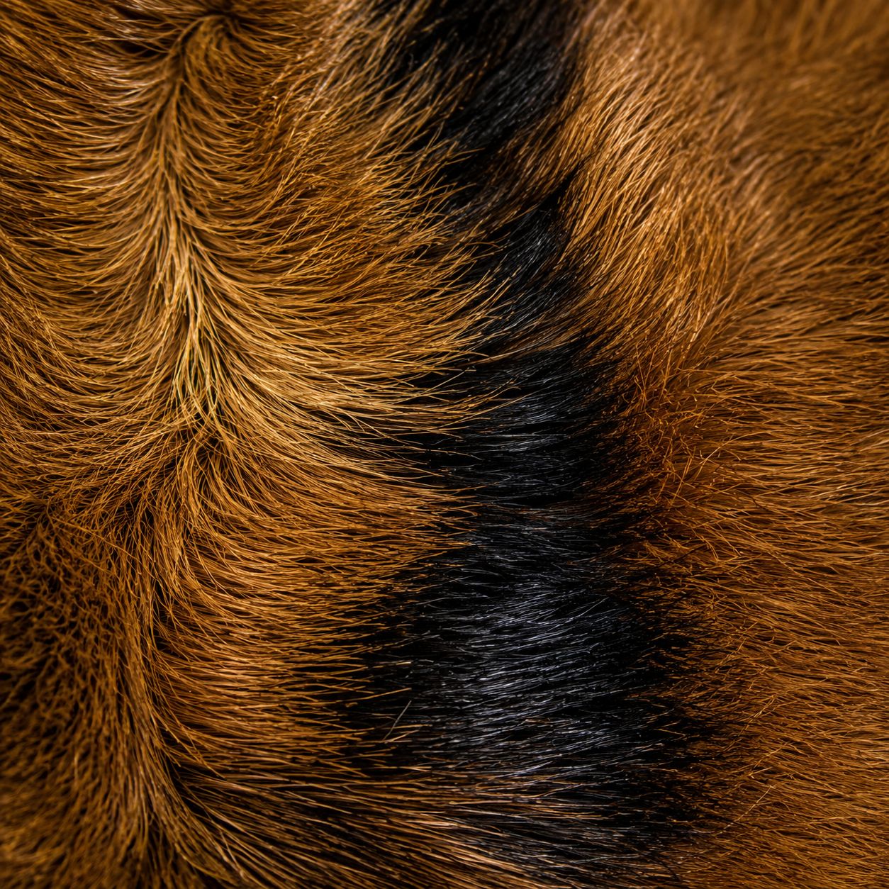 Goatskin Rug GR-115 46x33 INCH