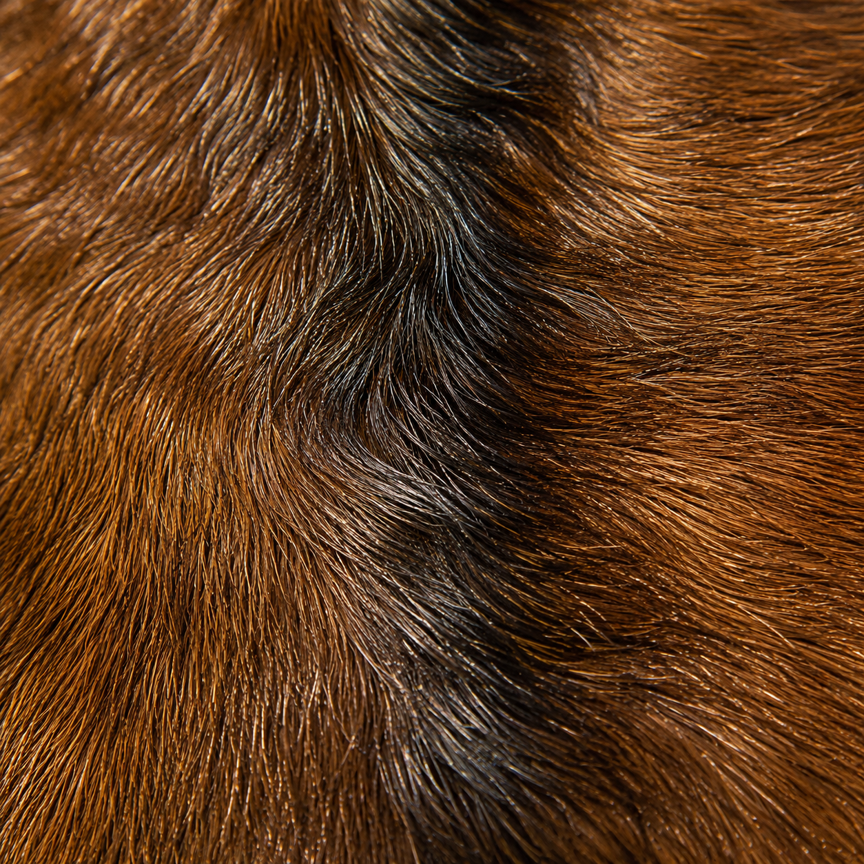 Goatskin Rug GR-125 44x28 INCH