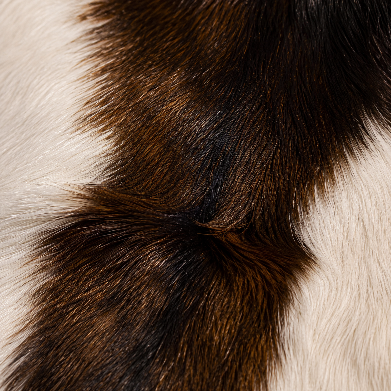 Goatskin Rug GR-128 41x29 INCH