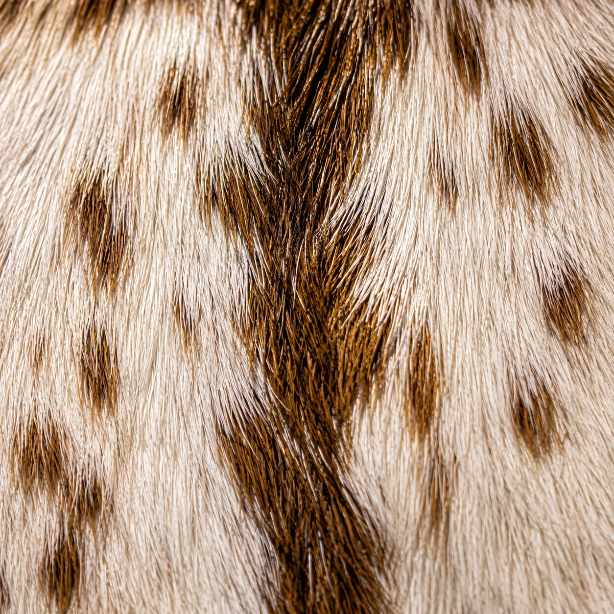 Goatskin Rug GR-130 42x32 INCH