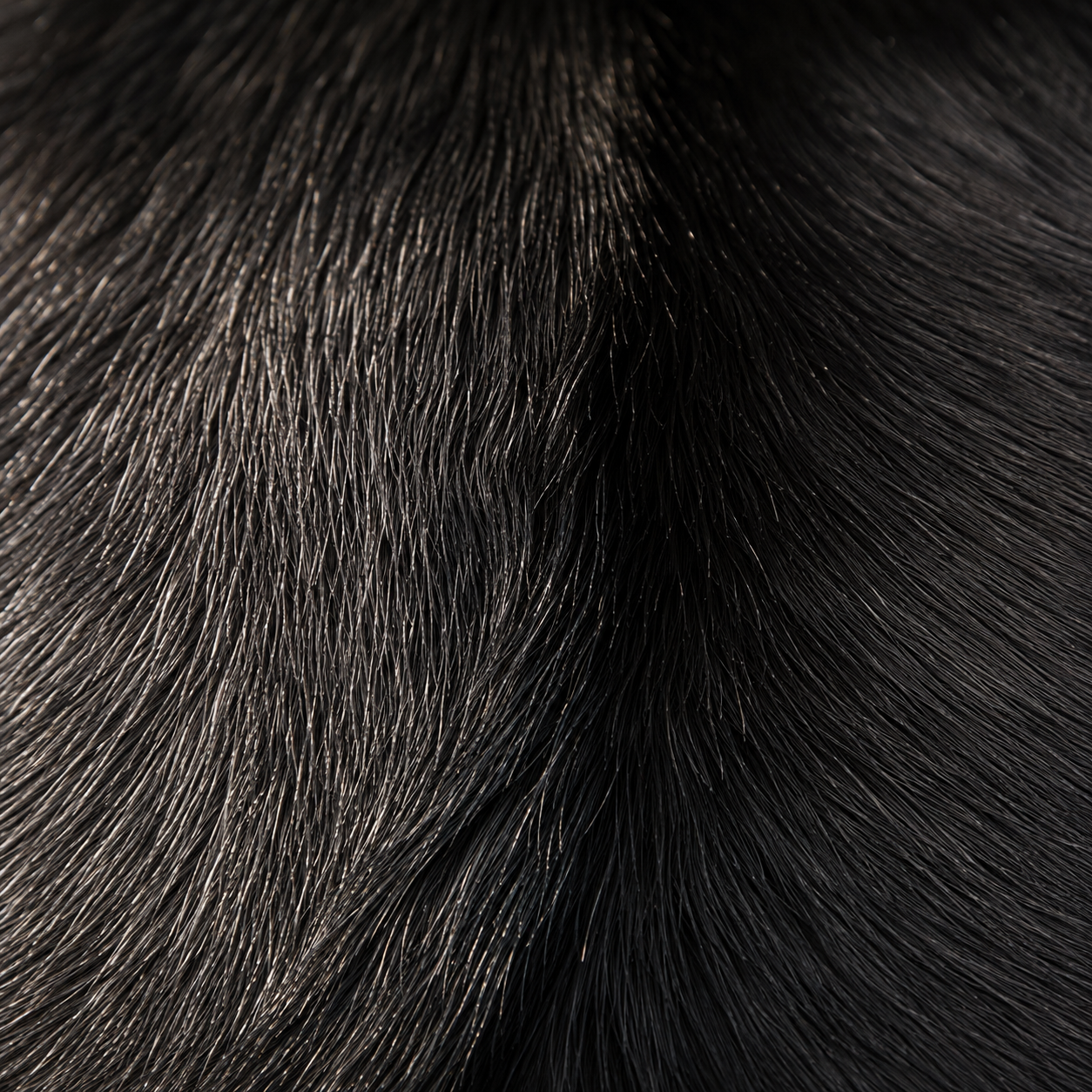 Goatskin Rug GR-132 41x27 INCH