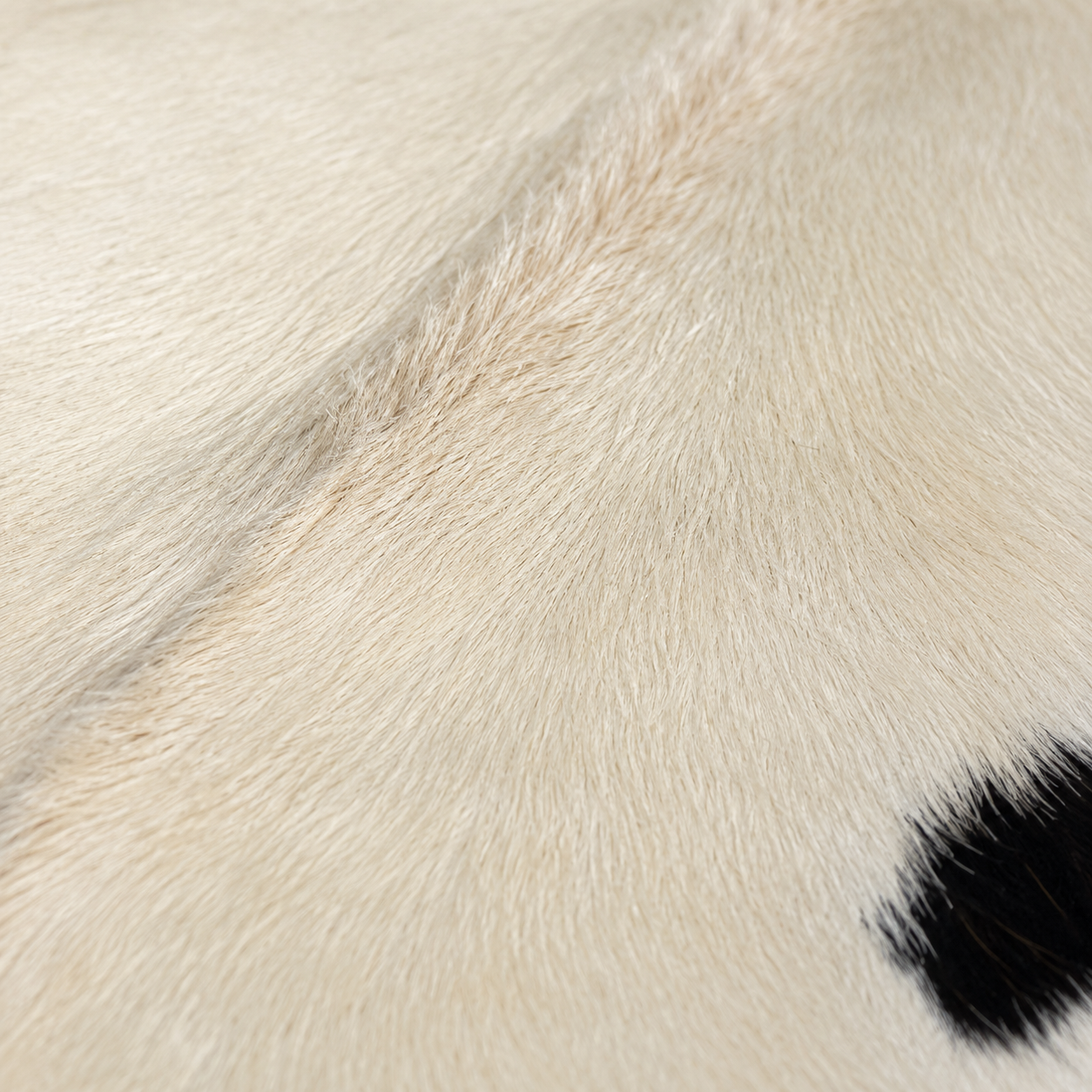 Goatskin Rug GR-138 42x26 INCH