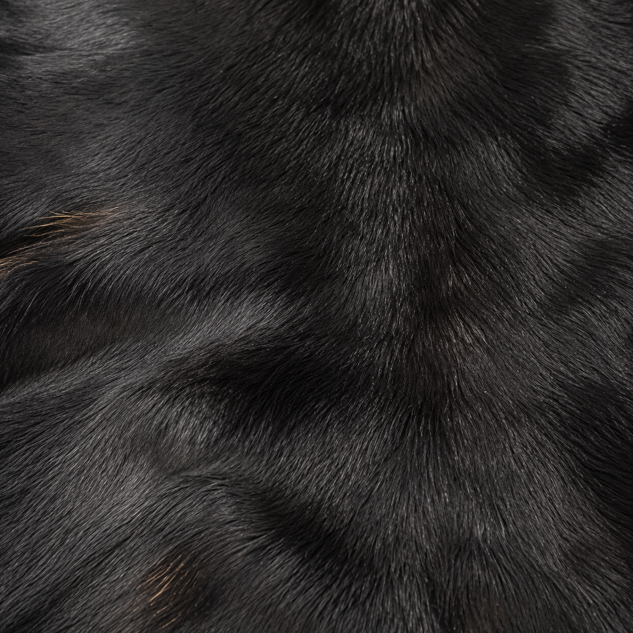 Goatskin Rug GR-148 41x27 INCH