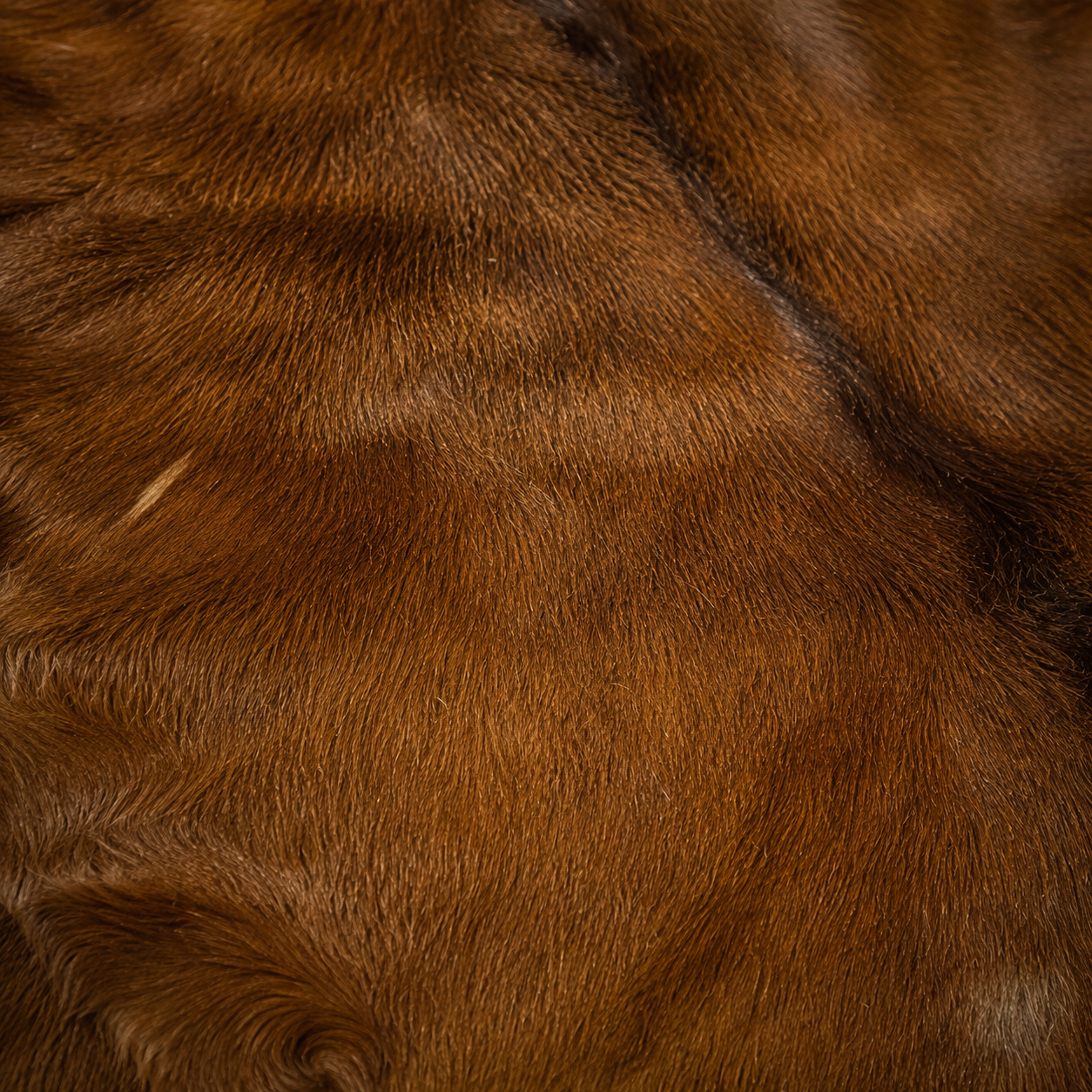 Goatskin Rug GR-164 44x28 INCH