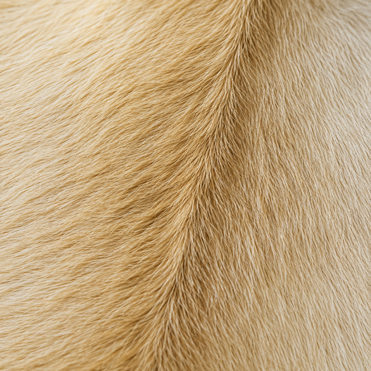 Goatskin Rug GR-167 36x24 INCH