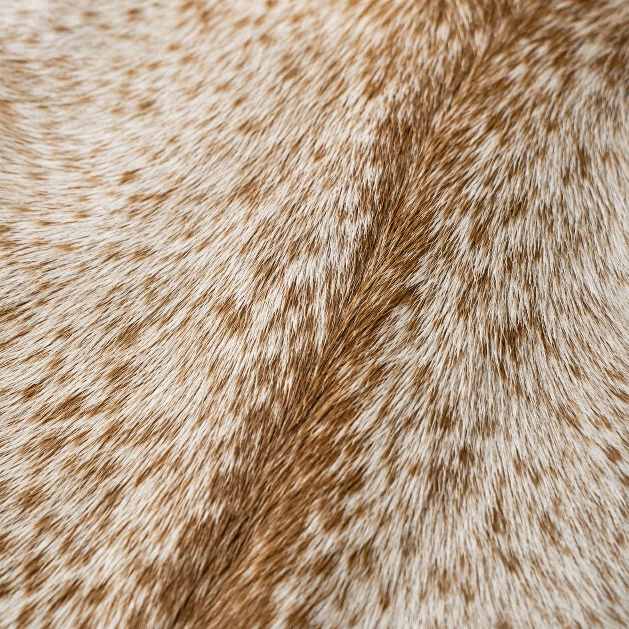 Goatskin Rug GR-169 37x33 INCH