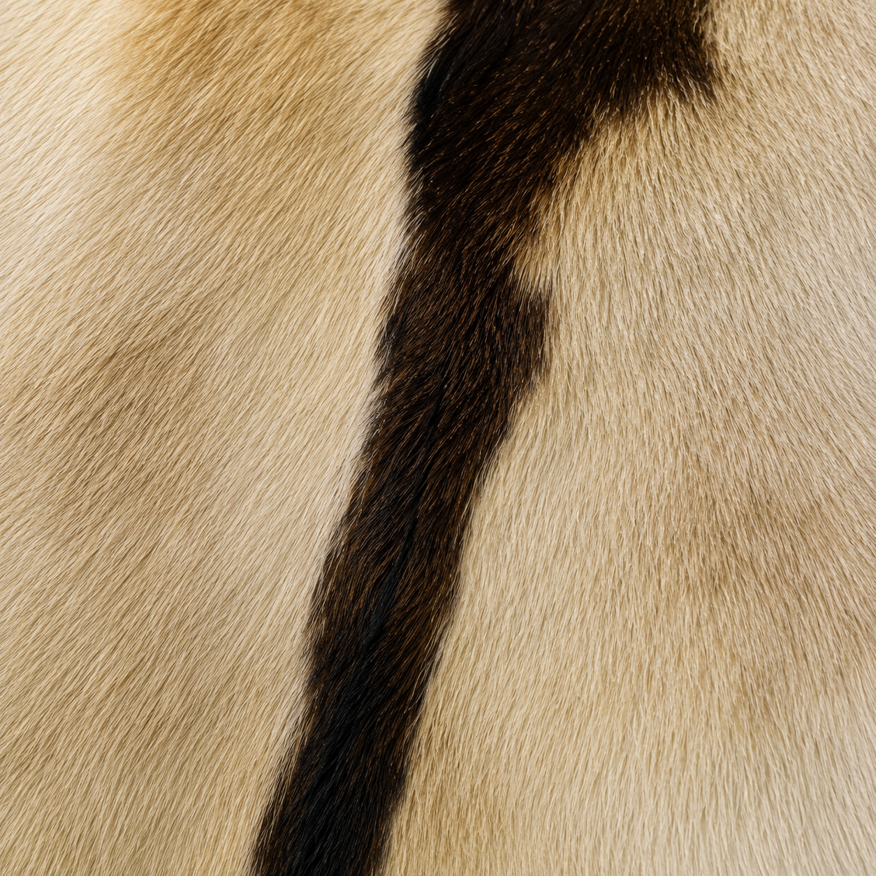Goatskin Rug GR-173 43x28 INCH