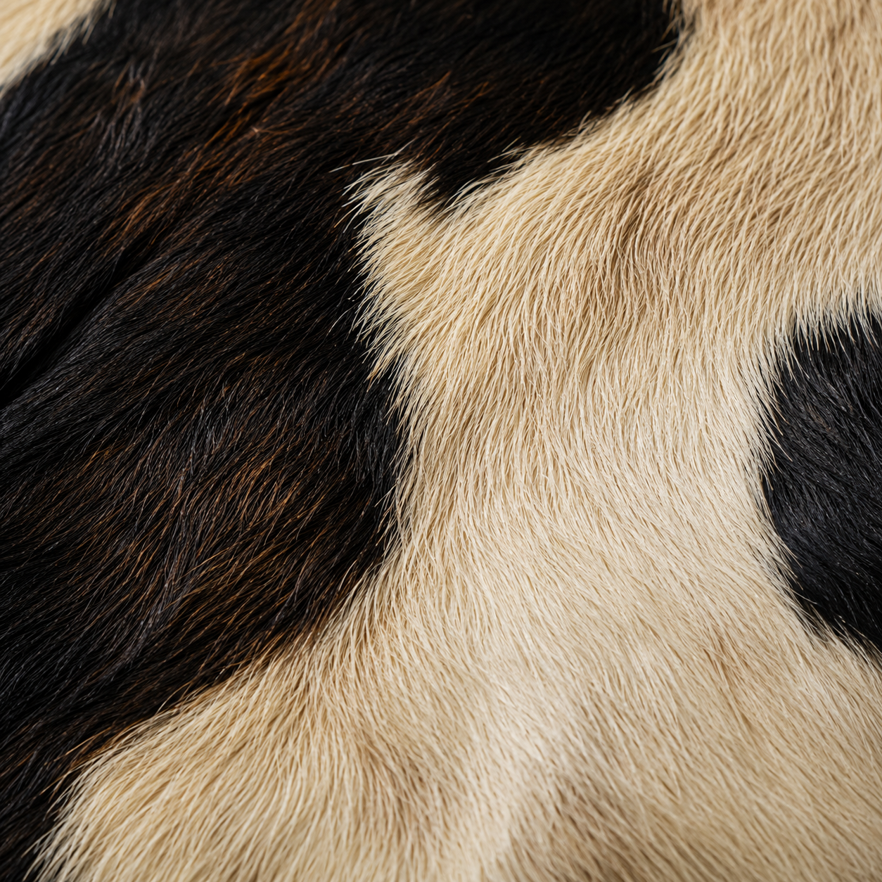 Goatskin Rug GR-177 38x29 INCH