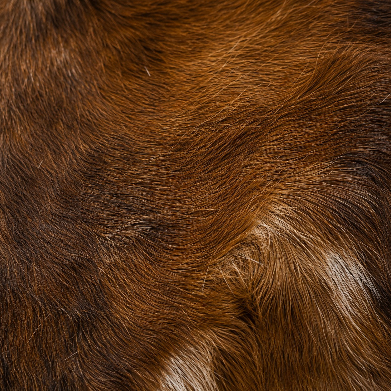 Goatskin Rug GR-183 45x27 INCH