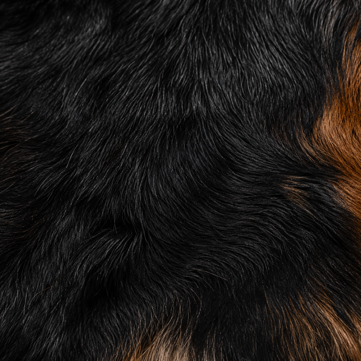 Goatskin Rug GR-184 46x26 INCH