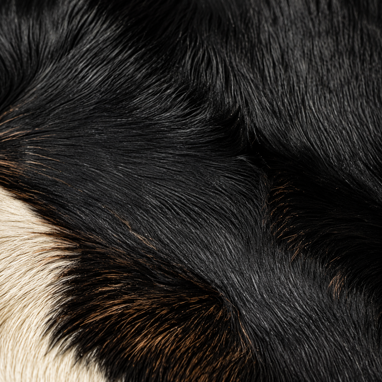 Goatskin Rug GR-187 38x26 INCH