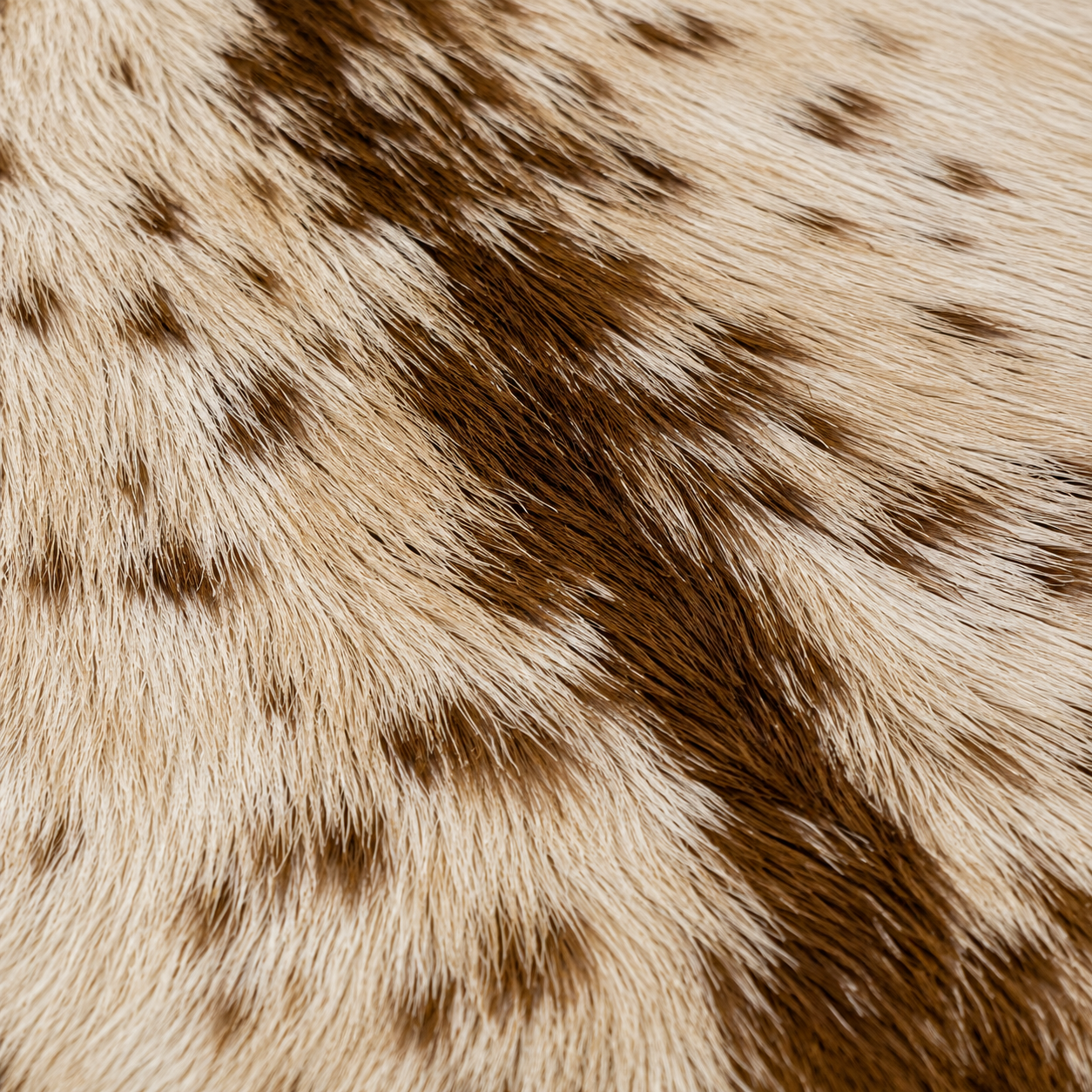 Goatskin Rug GR-189 44x34 INCH