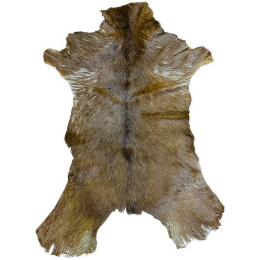 Goatskin Rug GR206