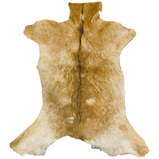 Goatskin Rug GR210