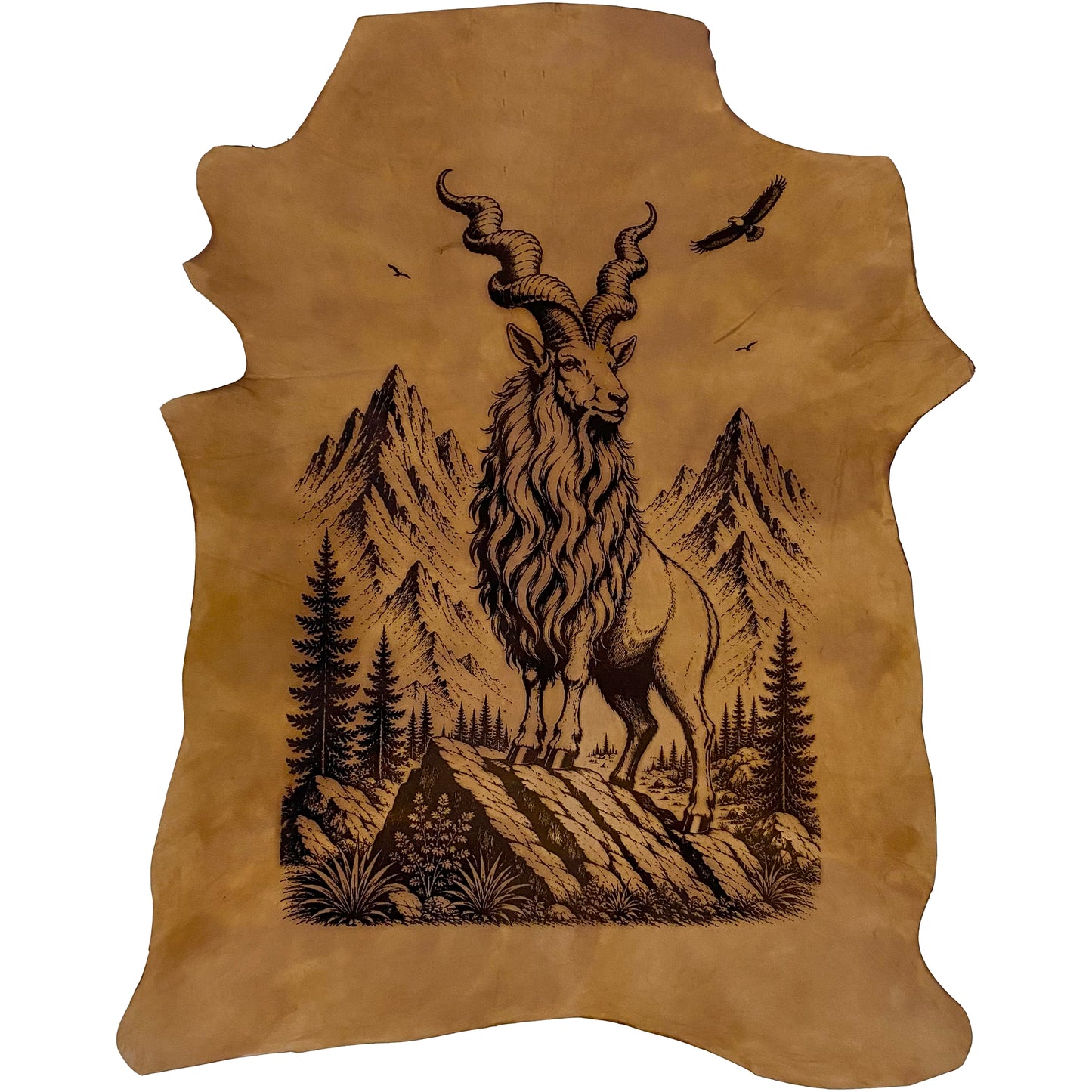 The Desert Stallion LA-132 30x23 INCH