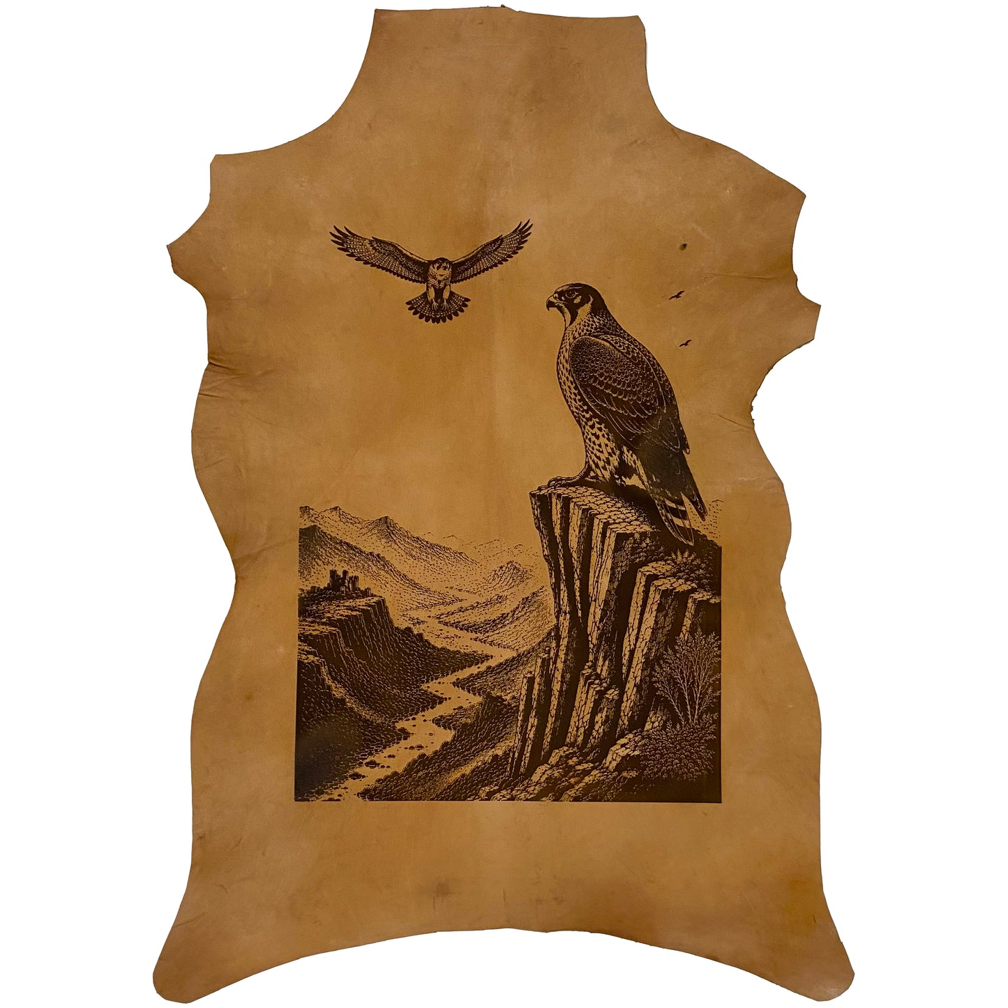 The Falcon's Watch LA-141 36x24 INCH